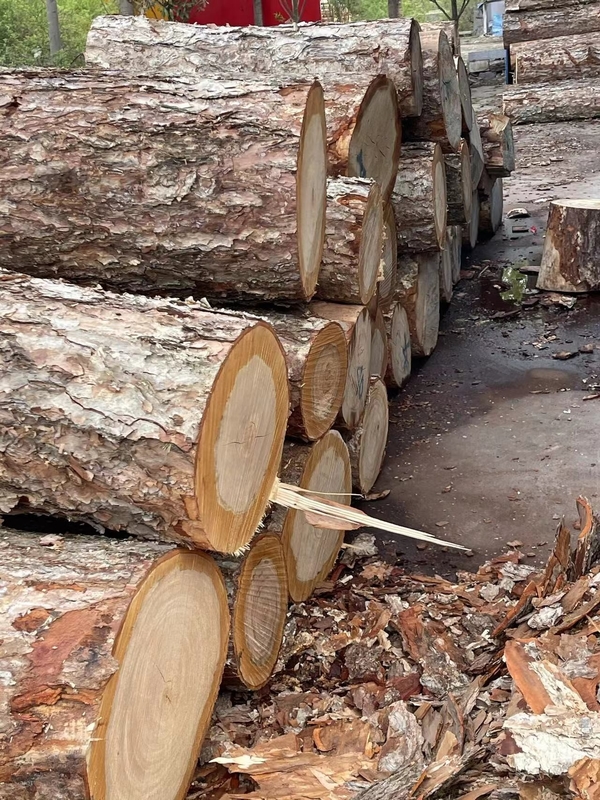 Πίνακας αντιφράγματος 12-18mm επίπεδης ταινίας για βιομηχανική κοπή με laser